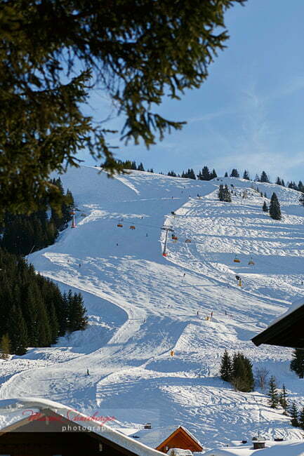 markus-schneeberger-photography-2013-03-01-16-26-26