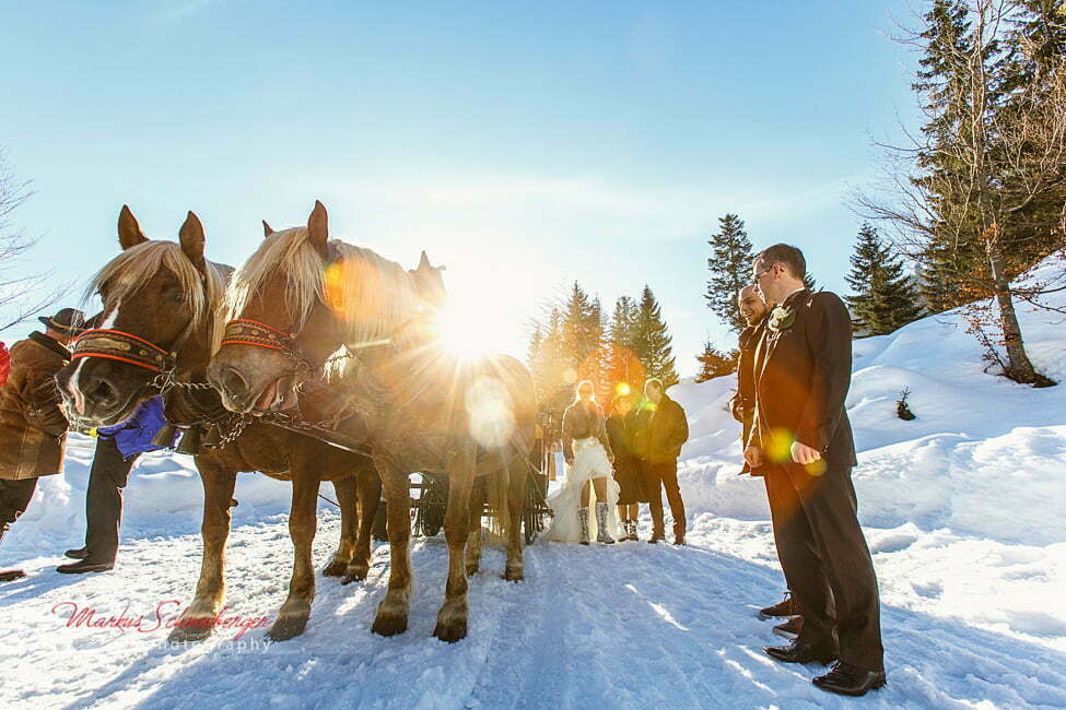 markus-schneeberger-photography-2013-03-02-16-04-03