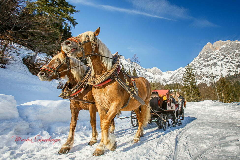 markus-schneeberger-photography-2013-03-02-16-20-08