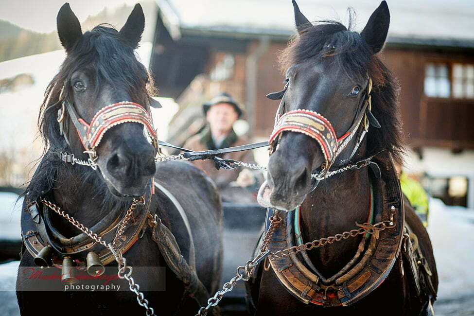 markus-schneeberger-photography-2013-03-02-16-48-52