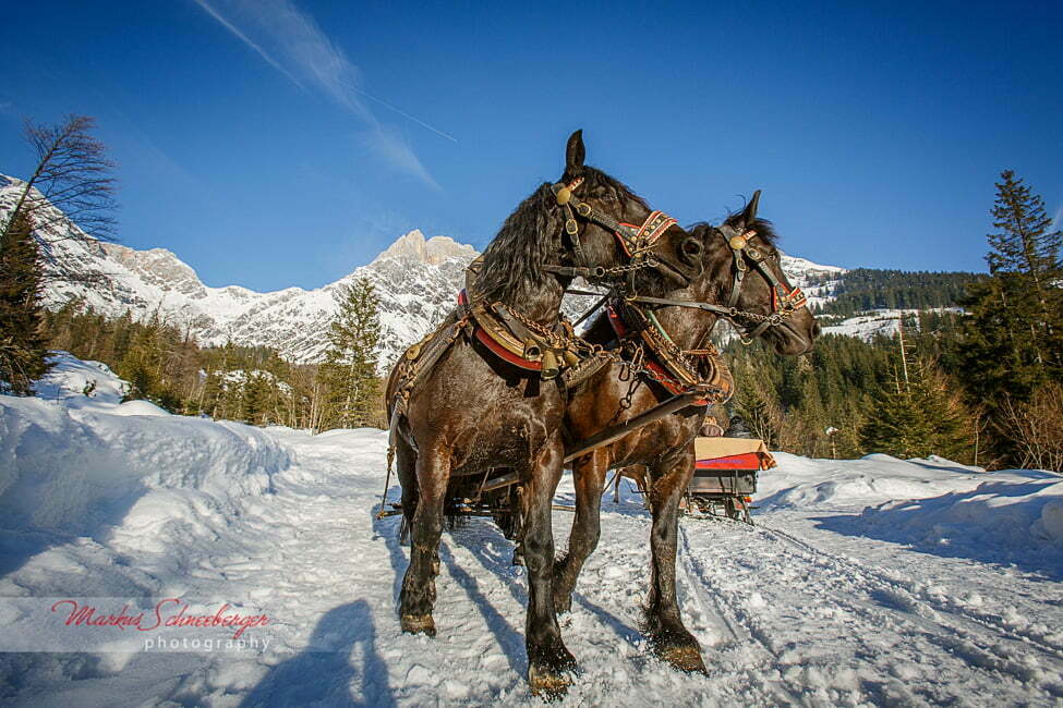 markus-schneeberger-photography-2013-03-02-16-19-44-2