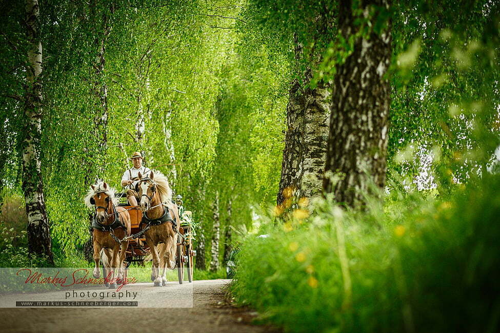 markus-schneeberger-photography-2013-05-19-16-42-53