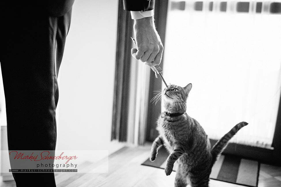 markus-schneeberger-photography-caro-stefan-033