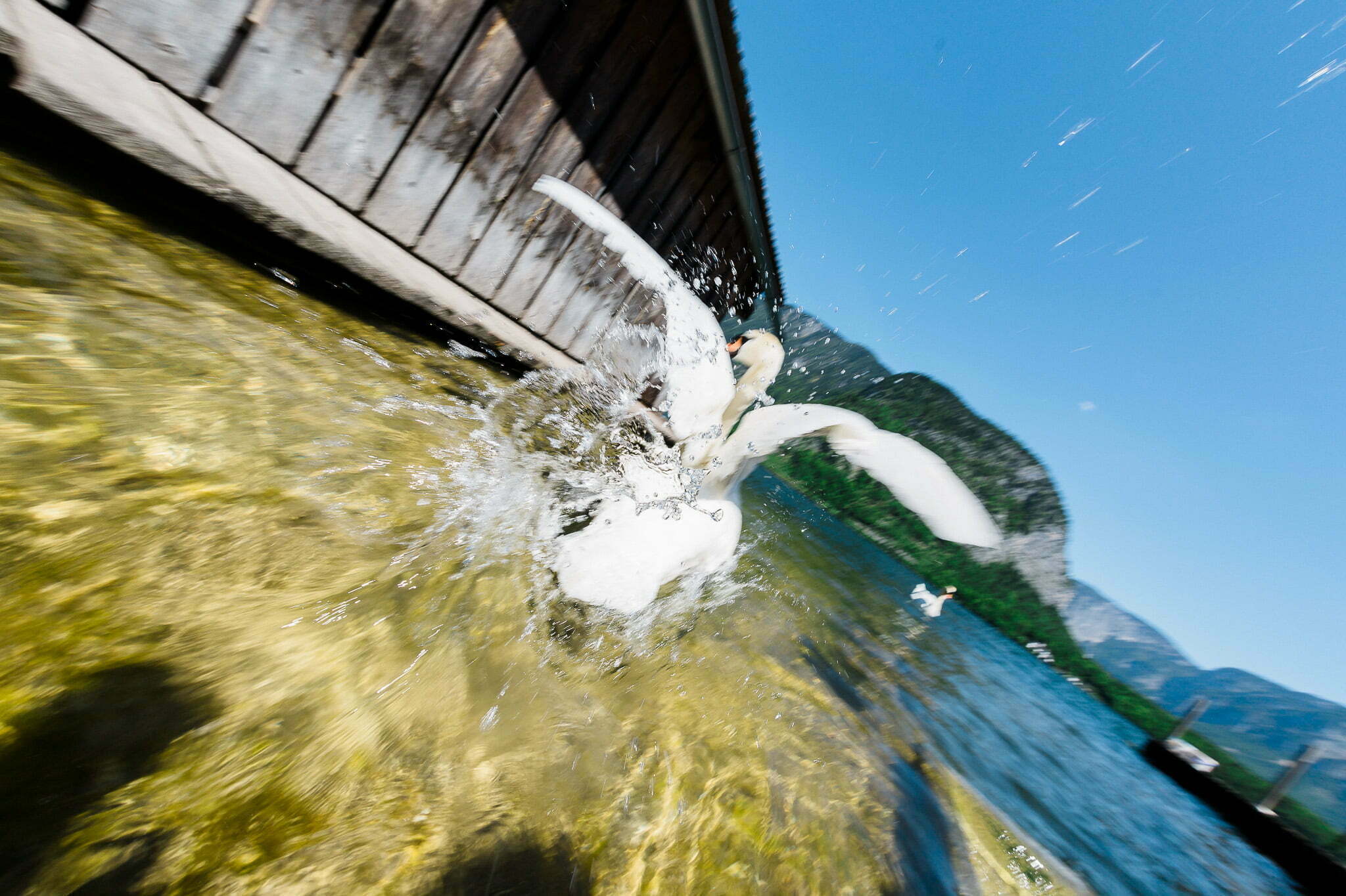 markus-schneeberger-photography-hochzeit-hallstadt-salzkammergut24